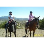 Diane Rice's photo