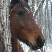 Gary N Debbie Dalone's photo