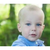 Amy Hedges's photo