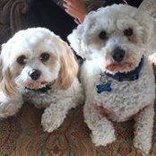 Foto von Ruth Amesbury