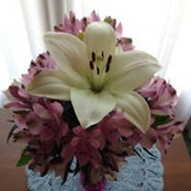 Karen McCray's photo