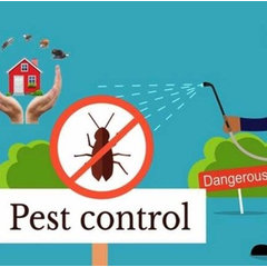 Emergency Pest Control Brisbane