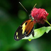 Chad Jones's photo