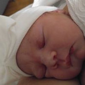 Kim Dillman's photo