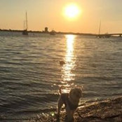 Alejandra Saenz's photo