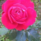 Gülçin Eroğlu's photo