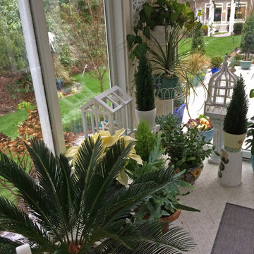 Elaine's Design Studio