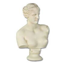 Bust