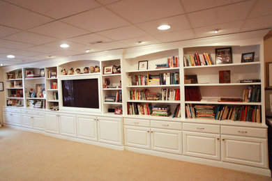Basement - traditional basement idea in Columbus