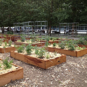 ebay, inc. Corporate Vegetable Garden Installation & Employee Garden Education