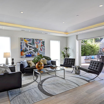 Modern House