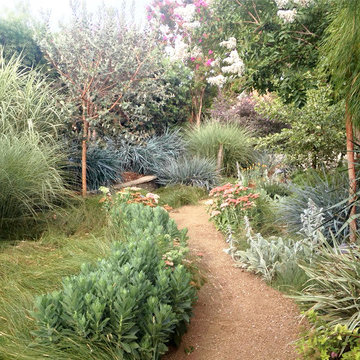 Mystical Habitat Garden