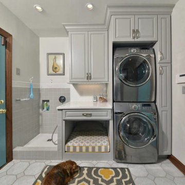 Every Dog’s Dream