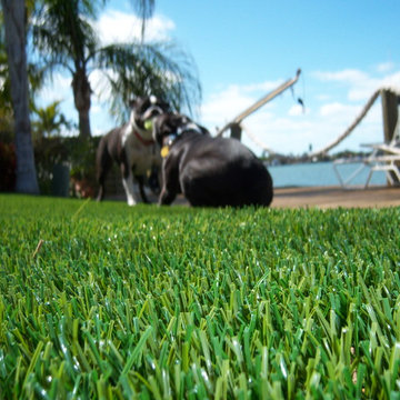 Residential Lawn