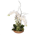 Jenny Silks - Real Touch Phalaenopsis Silk Orchid With Curly Willow in Natural Teak Wood Bowl - Simple yet impressive, this arrangement features four lush stalks of Silk Phalaenopsis Orchids intertwined with Curly Willow tendrils for an airy effect. A rounded Natural Teak Bowl provides a versatile base suitable for a variety of surfaces. This understated artificial flower arrangement offers lasting beauty that is low-maintenance and pairs well with any decor.