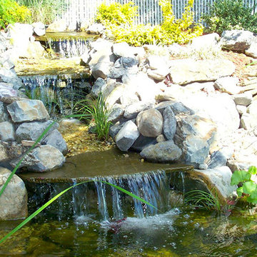 Pond Gallery