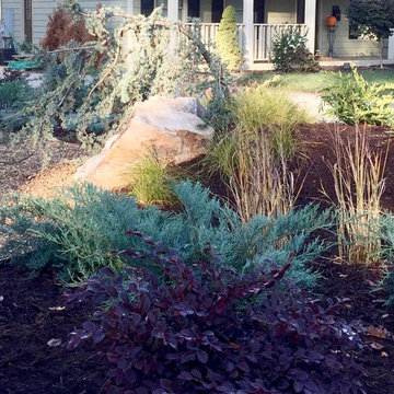 Complementary foliage creates interest