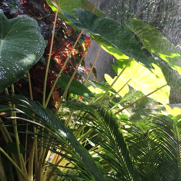 Water feature area in the summer