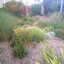 Landscape design ideas
