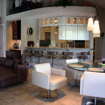 Burr Ridge | Contemporary Home