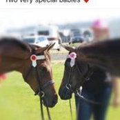 Kellie Tuskin's photo