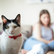 Hillary Mulholland's photo