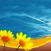 Paulette Byrds foto