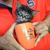 Joan Kendall's photo