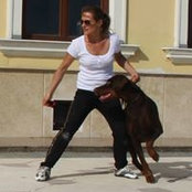 Niklas Schmidt's photo