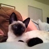 Debora Minor's photo