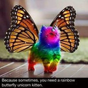 Lynn Clark's photo