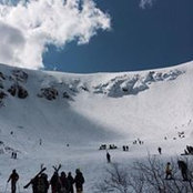 Adam DeMuth's photo