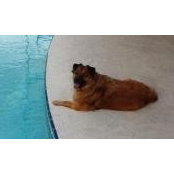 John Haggerty's photo