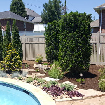Backyard Oasis