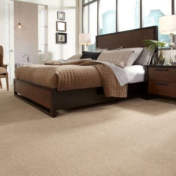 STAINMASTER® carpet