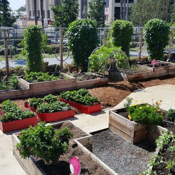 Urban Farms