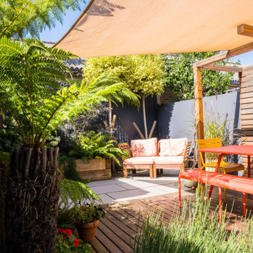 Suntrap garden in East London