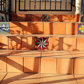 Spanish Contemporary Drought Tolerant