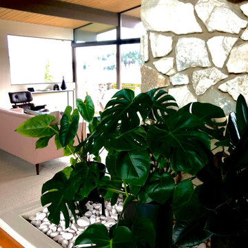 Amazing Mid-Century