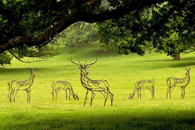 Barbon Manor Herd of Red Deer