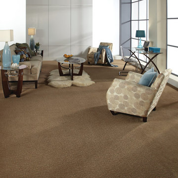 Tuftex Carpets of California Inspirational Room Scenes