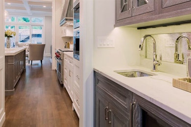 Kitchen - transitional kitchen idea in Chicago