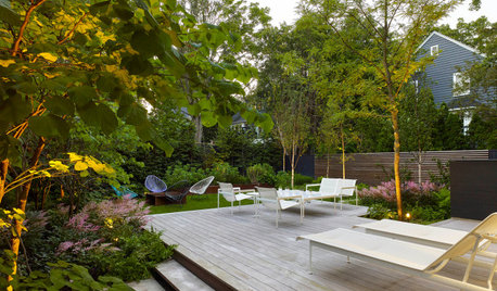 A Contemporary Landscape With Lush, Layered Plantings