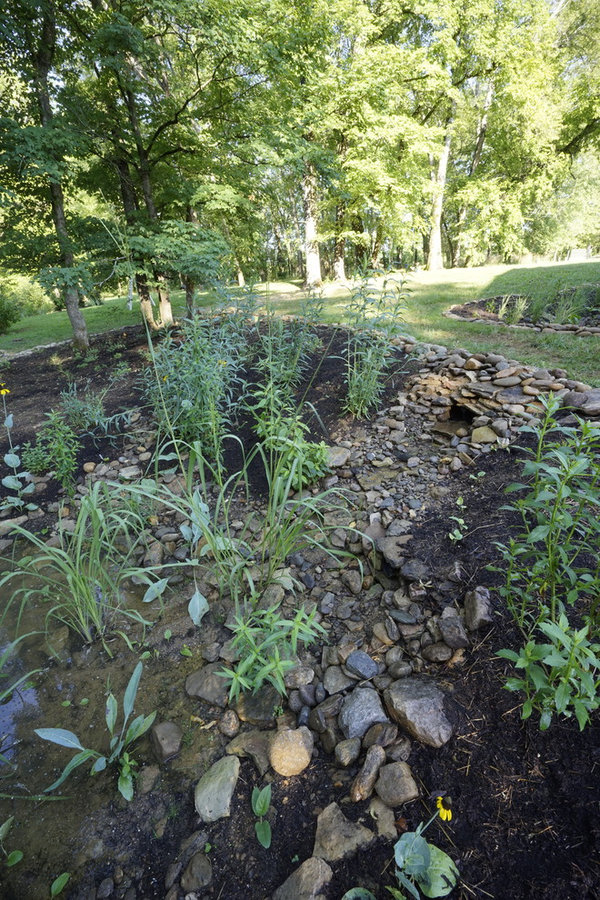 French Broad Rain Garden