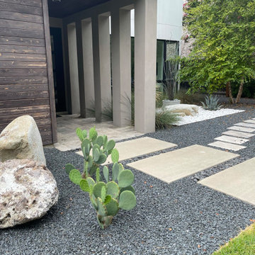 Turtle Creek Modern Landscape