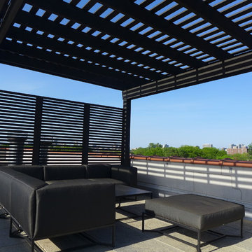 Lakeview rooftop