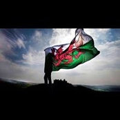 Steven Jenkins's photo