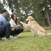Alejandra Arango's photo