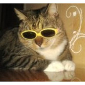 Foto von Gucci Simbauskas