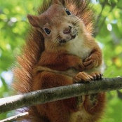 Sylvie Germain's photo